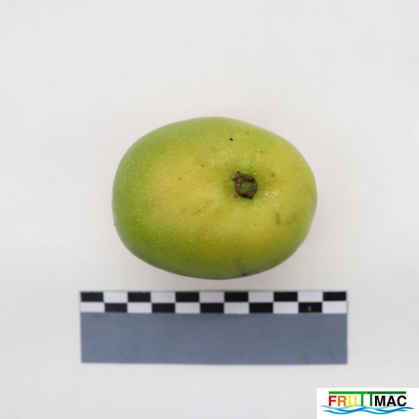 Archivo:624imageIMG 2285.JPG