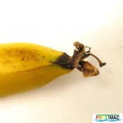 202imageIMG 1611.111.JPG