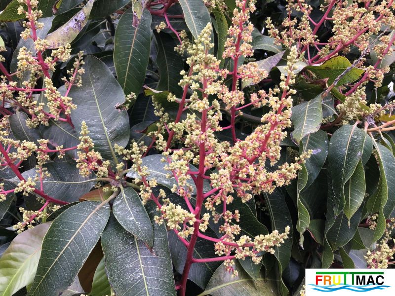 Archivo:627imageIMG 3939.JPG