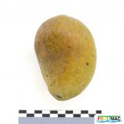 66imageIMG 7967.1.JPG