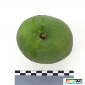 72imageIMG 6791(1).JPG