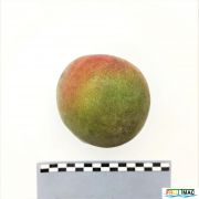 126imageIMG 20230725 123856 (4).jpg