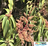 440imageIMG 5550 (3).jpg