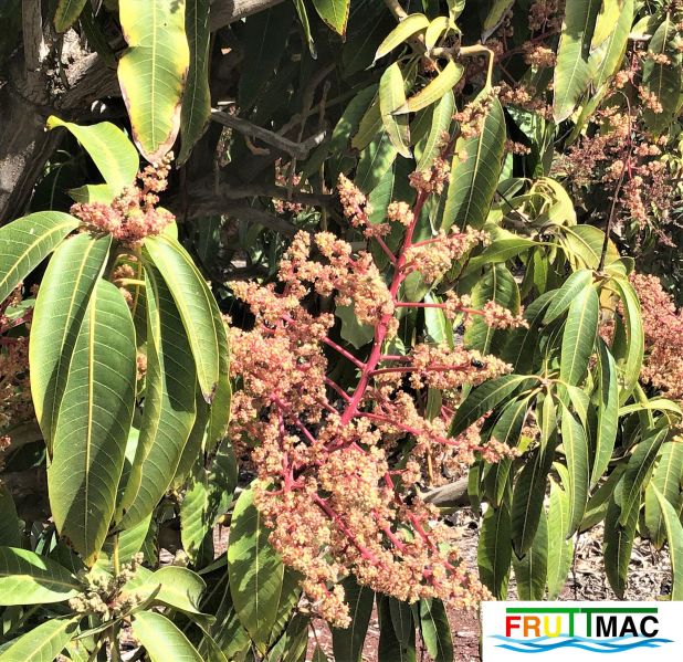 Archivo:440imageIMG 5550 (3).jpg