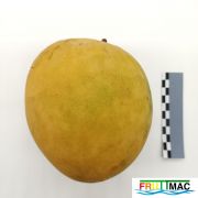 624imageIMG 20230811 110502.jpg