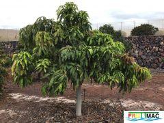 624imageIMG 3967.JPG