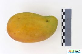 1073imageIMG 9075.jpg