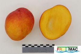 1076imageIMG 9263.JPG