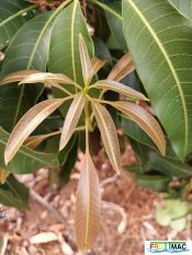 620imageIMG 20230704 084651.jpg