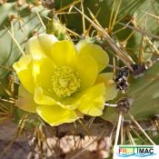 485imageIMG 20250511 122635.111.jpg