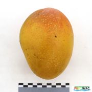 71imageIMG 7778.1.JPG
