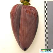 202imageIMG 1494.111.JPG