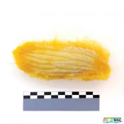 629imageIMG 20230807 112436 (2).jpg