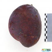 62imageIMG 8340.1.JPG