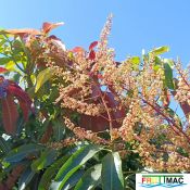 626imageIMG 20241230 123316.33.jpg
