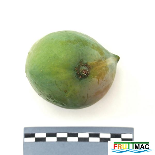 Archivo:627imageIMG 20230803 140329 (3).jpg