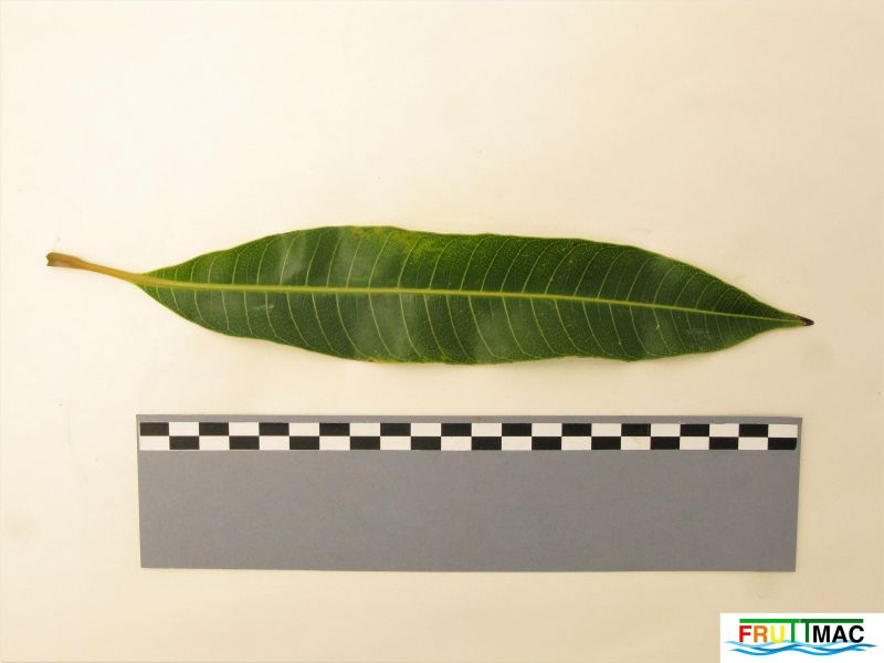 Archivo:72imageIMG 0211 (3).JPG