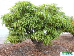 440imageP1230287 (2).jpg