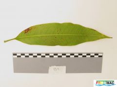 625imageIMG 0782.JPG