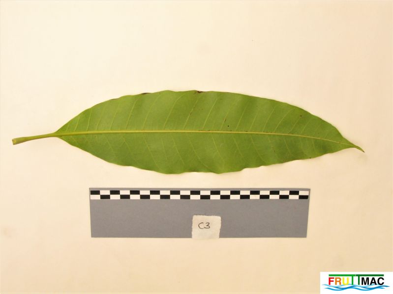 Archivo:68imageIMG 0606 (2).JPG