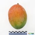 85imageIMG 3001.JPG