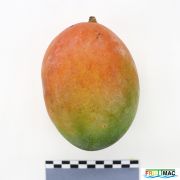 85imageIMG 3001.JPG