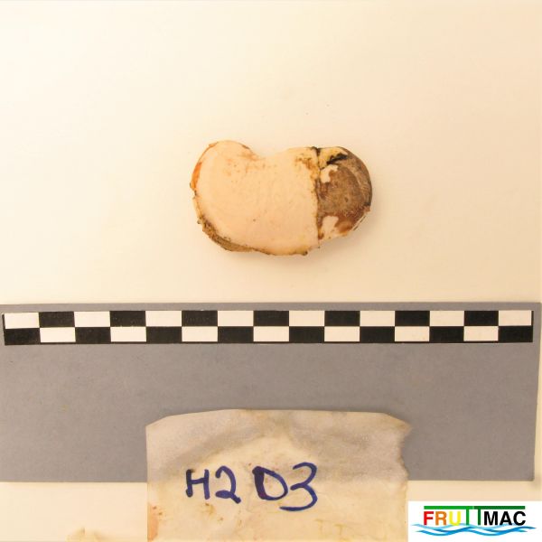 Archivo:72imageIMG 0789 (2).JPG