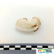 105imageIMG 20230801 141034 (2).jpg