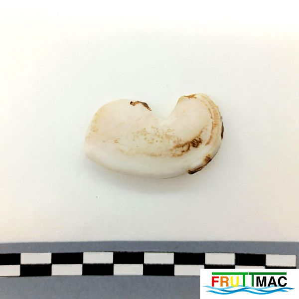 Archivo:105imageIMG 20230801 141034 (2).jpg