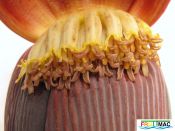 202imageIMG 1484.111.JPG