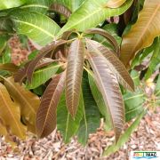 622imageIMG 20230704 083139.jpg