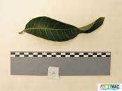 60imageIMG 0864 (2).JPG