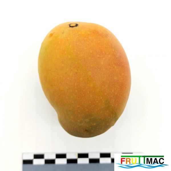 Archivo:611imageIMG 20230821 135048.jpg