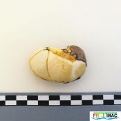 102imageIMG 20220923 132419 (2).jpg