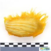 115imageIMG 4737.JPG
