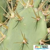 485imageIMG 20241218 124525.11.jpg