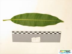 624imageIMG 0769 (2).JPG