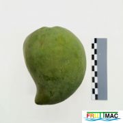 68imageIMG 20230809 135041 (2).jpg