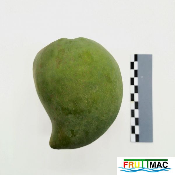 Archivo:68imageIMG 20230809 135041 (2).jpg