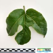 895imageIMG 20230420 112311.jpg