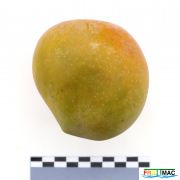 56imageIMG 3768.1.JPG