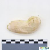 94imageIMG 3501.JPG
