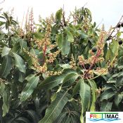 627imageIMG 3940 (2).JPG