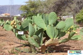 991imageIMG 1407 (1) (1) (1).jpg