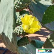 991imageIMG 20250521 102154.111.jpg