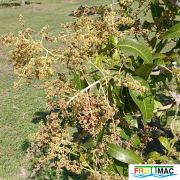 69imageIMG 20250319 105254.111.jpg