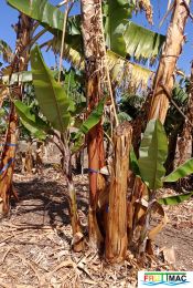 1021imageIMG 20250321 112641.111.jpg