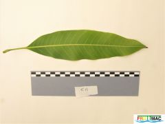 440imageIMG 0532 (2).JPG