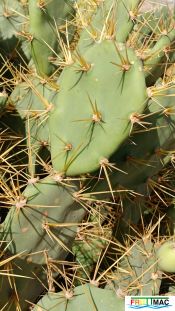 485imageIMG 20241218 124524.1.jpg