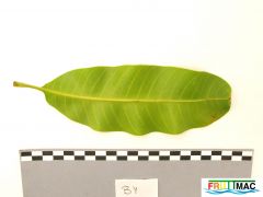 63imageIMG 0344.JPG